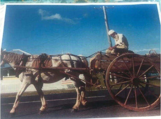 zista_ashley_baba_ram_singh_rai